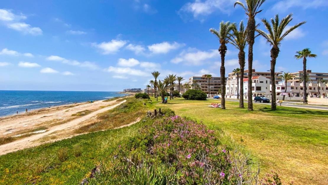 Apartamento Villa Amalia 托雷维耶哈 外观 照片