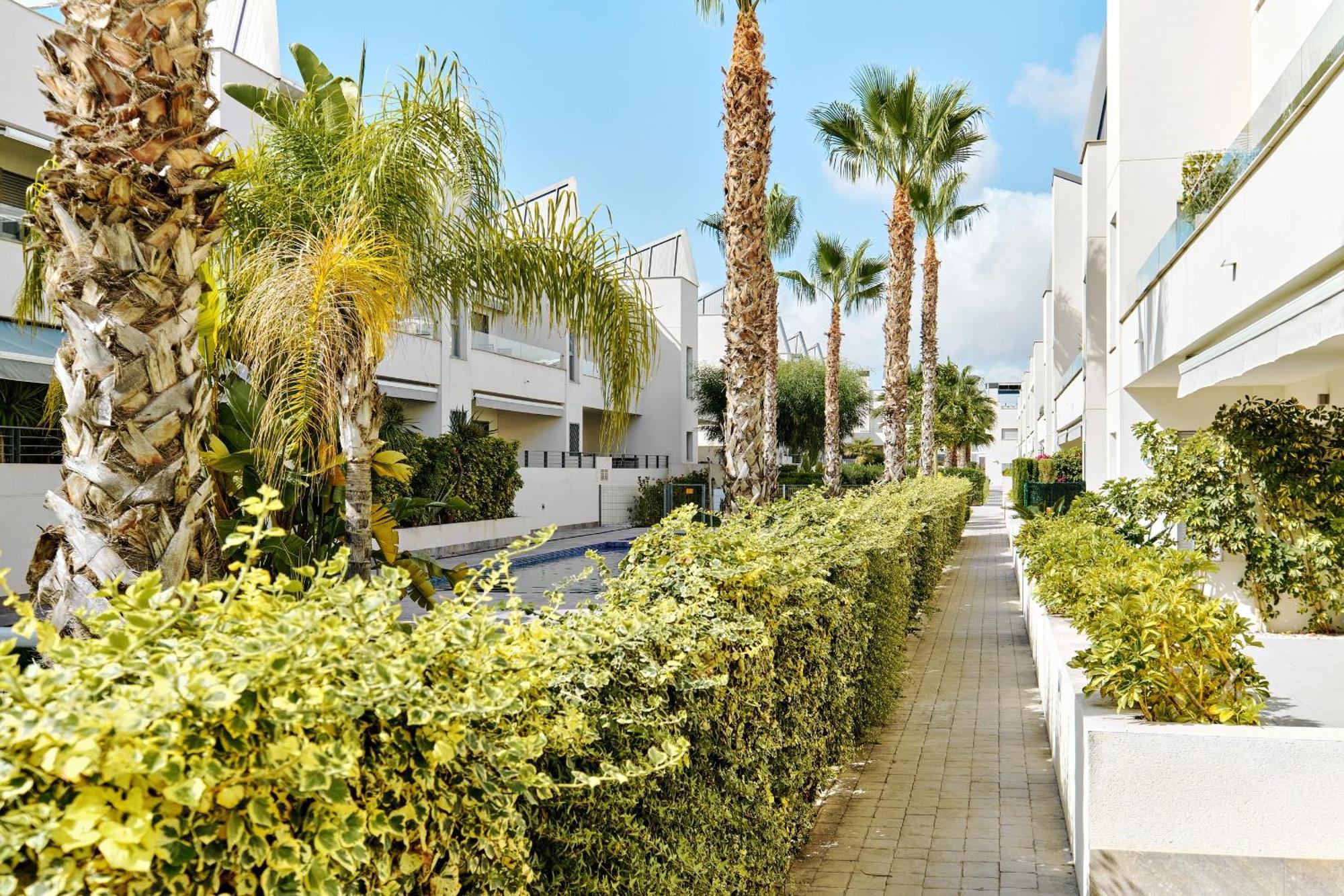 Apartamento Villa Amalia 托雷维耶哈 外观 照片